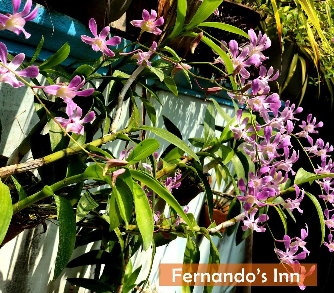 Fernando'S Inn Негомбо Екстер'єр фото